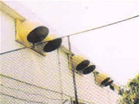 塑胶厂