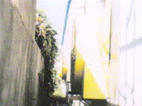 电子厂